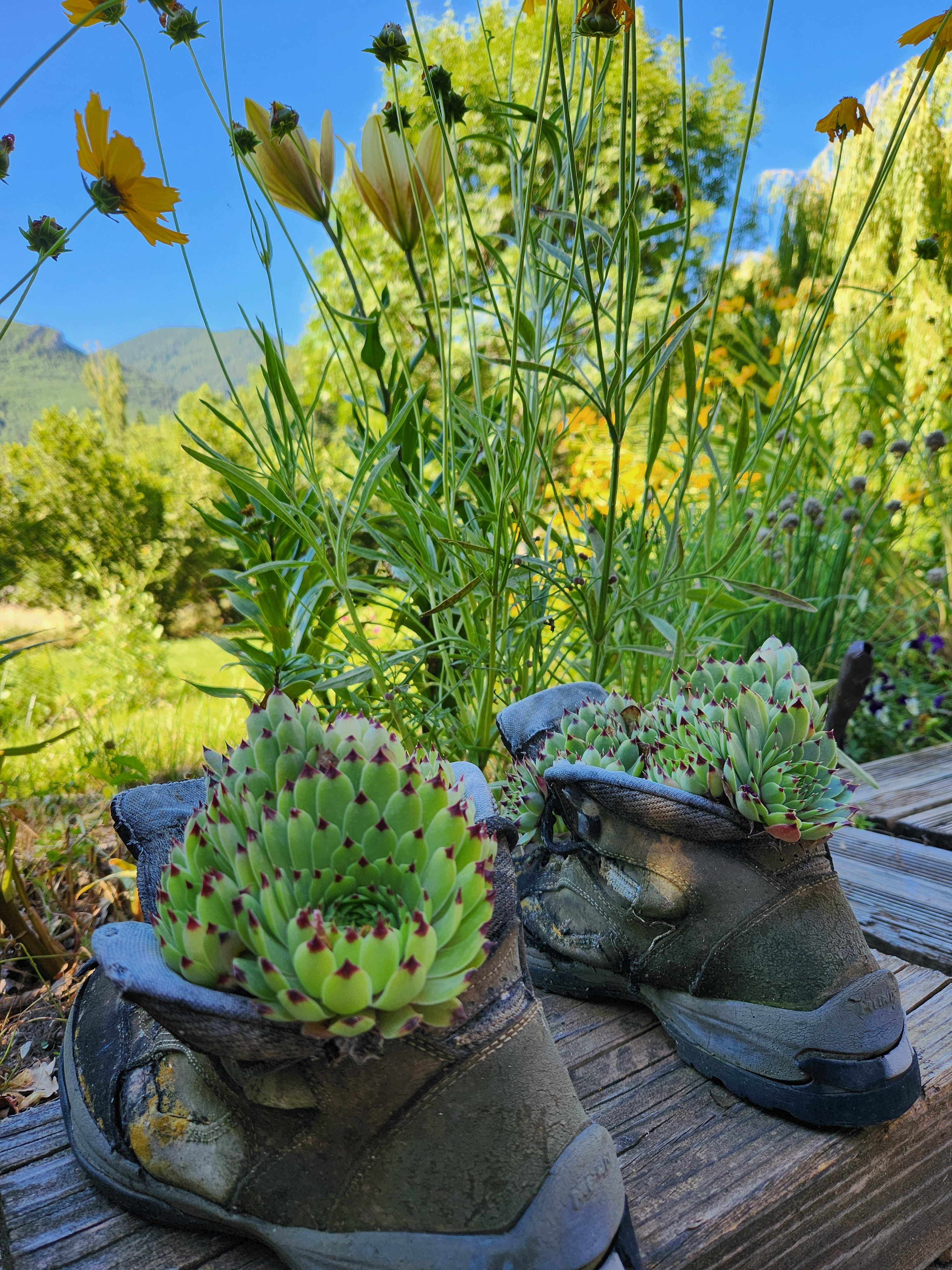 1000012982 Décoration zen habitat bien-être sacré